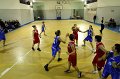 Basket 443083